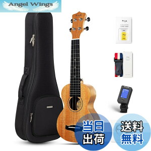 �y���������zEnya �}�z�K�j�[�E�N���� �F�F�؂̐F�\�v���m�E�N�����A�T�C�Y�F�\�v���m