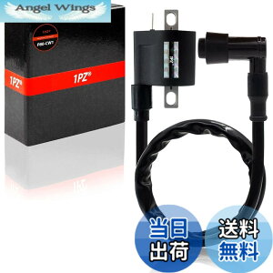 �y���������z1PZ JY1-C01 ���� �C�O�j�b�V�����R�C�� �A�v���I �X�[�p�[JOG ZR �X�[�p�[�W���OZR JOG90 �W���O90 DT230 �����c�@ BW'S100 �r�[�E�B�Y100 TDR50 TDR80 TS125R �O�����h�A�N�V�X100 �ЊO�i �o�C�N 