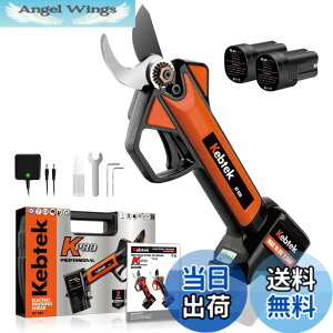 �y���������z�y�y��880g�E���{���t�b�f�n�zKebtek �d������o�T�~ 16.8V �R�[�h���X �[�d������΂��� 2500mAh���`�E���d�r2�t�� �d���}�؂��� �y0.4�b�����ؒf�z�v�� ������ ���| ���� �ʎ��� 