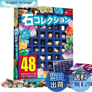 �y���������zXXTOYS �z�ΕW�{48�� �i�V���i���W�I�O���t�B�b�N�V�R�z�� ��΂������� ��ΕW�{ �N���X�}�X �v���[���g ���b�N���~�l���� �R���N�V���� �W�F���X�g�[�� �n���Ȋw�L�b�g 48�Z