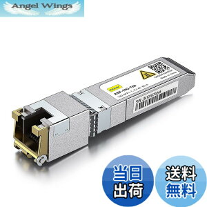 �y���������z10Gtek 10GBase-T SFP+���W���[��, 10G-T, 10G�J�b�p�[, RJ-45 SFP+ CAT.6a, �ő�30m, ���g�����V�[�o �F�Fx1�A�T�C�Y�F1����