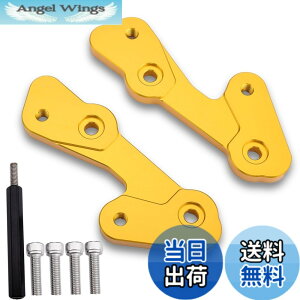�y���������zLEDISHUN �o�b�N�X�e�b�v �A�W���X�^�[ 30mm �A�b�v 25mm �o�b�N �J���T�L ZX-25R(2020-2023) ZX-4R ZX-4RR (2023+)�ɓK�p �F�F�S�[���h