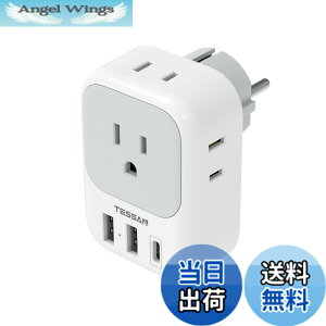 �y���������z�ϊ��v���O �C�O���s�p c/bf/se/o�^�C�v USB�t�����s �֗��O�b�Y �F�F�O���[�A�T�C�Y�F2USB-A+USB-C