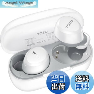 �y���������zTOZO A1 �C���z�� bluetooth ���C�����X�C���z�� ���ቹ�� �g�F�n���� ���^�y�� �}�C�N���� AI �ʘb���m�C�Y���_�N�V���� �J�X�^��EQ �A�v���Ή� �h�� �ő��32���Ԃ̘A���Đ� �Ԃ�[