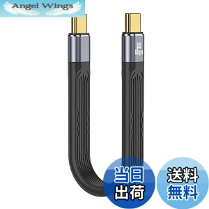 �y���������zLIANHATA USB Type CtoC �P�[�u�� USB4.0 40Gbps�����f�[�^�]�� 8K@60Hz�f���o�� PD�Ή�100W/5A�}���[�d USB-C to USB-C ��13.5cm �F�F10Gbps �I�X to �I�X