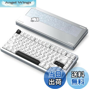 �y���������z�yWOBKEY Rainy 75�L�[�{�[�h�z�J���̂悤�ȑŌ��� ���J�j�J���L�[�{�[�h 3WAY�ڑ� OS�݊��� �z�b�g�X���b�v��VIA�̑Ή� �J�X�^�}�C�Y�� �K�X�P�b�g�f�U�C�� �A���~�j�E���f�ގg�p RG