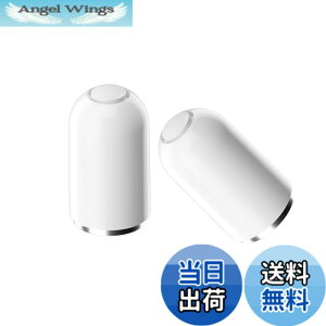 �y���������zALLVD (2����) Apple Pencil �����p�L���b�v �A�b�v���y���V�� ��1���� �����p�L��-�b�v Ap-ple Pencil�ɑΉ� ��p �����L��-�b�v Ap-ple Pen-cil �W �A�_�v�^�[ �^�b�`�y�� �[�d�[�q�p�L���b