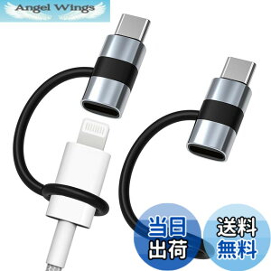 �y���������zGLOWZEN ���C�g�j���O �^�C�vc �ϊ� typec lightning �ϊ� 2�Z�b�g 60W PD�}���[�d 480Mbps�����Ńf�[�^�]�� �C���z���Ή��s��