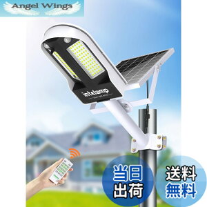 �y���������zintelamp �\�[���[�X�� �l���Z���T�[ 6500K�����F �Ɩ� �F�F�u���b�N���z���C�g�A�T�C�Y�F13P10