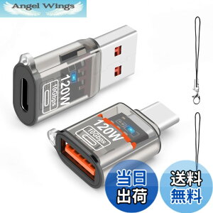 �y���������zleizhan USB Type-C �I�X����USB ���X�A�_�v�^�[�A10Gbps/120W Type-C����USB 3.1�����[�d�E�f�[�^�]���EOTG�A�_�v�^�[ �F�FTransparent black�A�T�C�Y�F120W USB - TypeC