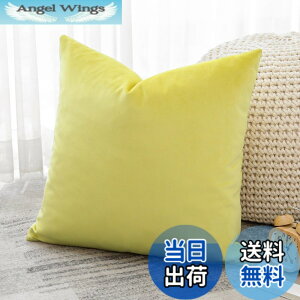 �y���������zOtostar �N�b�V�����J�o�[ 45x45cm 1�� ���n ������� ���� �x���x�b�g ���_�� �W�b�p�[�� �C���e���A ���������p �����p�s���[�J�o�[ �F�F�������C�G���[�A�T�C�Y�F45cmx45cm(1 ���g