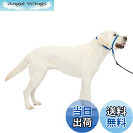 【送料無料】PetSafe（ペットセーフ） ジェントルリーダー 引っ張り防止 ヘッドカラー 犬用 散歩トレーニング 色：ロイヤルブルー、サイズ：Lサイズ (x 1)
