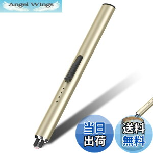 �y���������zGeeRic �v���Y�}���C�^�[ �d�q���C�^�[ USB-TypeC �[�d���C�^�[ �L�����h�����C�^�[ �΂��o�Ȃ� �΋N�������� �h�� �d�r�c�ʕ\�� ���� ���[�\�N BBQ ����Q�� �F�F�S�[���h