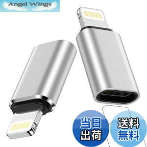 �y���������zOcbuo USB-C to ���C�g�j���O �ϊ��A�_�v�^*2�� Type C(���X�j�|Lightning�i�I�X�j�R�l�N�^ 3A�}���[�d USB C�ϊ��A�_�v�^ iPhone14 Pro/13/12�EiPad�EAirPods�Ȃ�iOS�@��Ή� �F�F�V���o�[