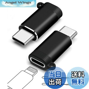 �y���������zleizhan ���C�g�j���O���X-USB-C�I�X�ϊ��A�_�v�^�i2�s�[�X�j�AType-C���C�g�j���OiPhone�f�[�^�]���A�_�v�^�A�X�g�����O�t���A�I�[�f�B�I/OTG�p�ł͂Ȃ� - �O���[ �F�F�u���b�N�A�T