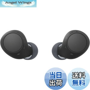�y���������z�\�j�[(SONY) ���S���C�����X�C���z�� WF-C500/WF-C510 :/�����x�ʘb�i��/IPX4�h�H���\ �F�F�u���b�N�A�T�C�Y�F���^�y��