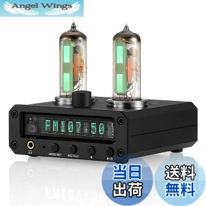 �y���������zNobsound P2-FM 6E2 �^��� �v���A���v �X�e���I �w�b�h�z���A���v �T�E���h���x���C���W�P�[�^�[ FM���W�I ���v clock �N���b�N MIC/AUX �u�����v �F�F�u���b�N�A�T�C�Y�FMINI