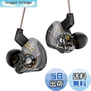 �y���������z�y���y�ʃ{�f�B�A���K�ȑ������z Yinyoo CCZ Soul �Q�[�~���O�C���z�� �}�C�N�t�� �C���z�� �L�� �C�����j 1DD HIFI���� �m�C�Y�L�����Z�����O ��P�[�u���\ 10mm PET�_�u�����C�_�C