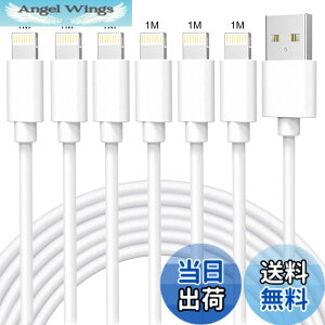 �y���������ziPhone �[�d�P�[�u�� 6�{�Z�b�g1M*6 �������C�g�j���O�P�[�u�� �}���[�d �A�C�t�H���[�d Lightning�P�[�u�� �f���h�~ ���ϋv �f���h�~ iPhone12 11 8 7 6 SE �[�d�P�[�u�� iPhone Max XR XS Airpods