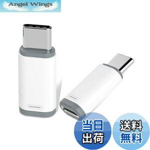 �y���������zHUAKE ���C�g�j���O ���� �^�C�vc �ϊ��A�_�v�^�y1���z light ing (���X) type-c (�I�X) �A�_�v�^�[ ���C�g�j���O���� usb-c �ϊ� iPhone 15 / 16 Plus Pro Max �V���[�Y Galaxy S23 Note 20 iPad Pro Air 2021