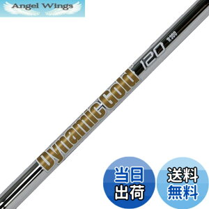�y���������zTruetemper(�g�D���[�e���p�[) �V���t�g Dynamic Gold �_�C�i�~�b�N�S�[���h120 �A�C�A���V���t�g �Ԏ� �E�F�b�W X100 Flex �P�i DG120IXW �T�C�Y�F�t���[�T�C�Y
