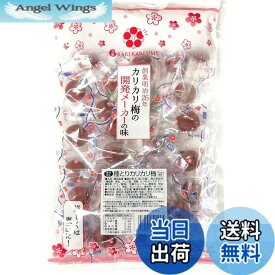 【送料無料】赤城フーズ 種とりカリカリ梅 210g サイズ：210gx1袋