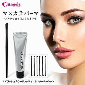 まつげエクステ アイラッシュカラーリングティントスターターキット マツエク マツエクキット グルー メール便可 アンジェララッシュ D10