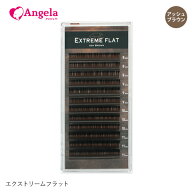 まつげエクステ プロ用 まつエク マツエクExtreme FLAT アッシュブラウン(12列) Jカール Cカール Dカール…