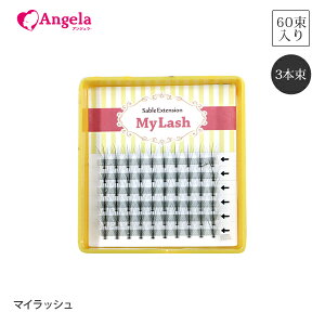 ܂GNXe  }cGN ZtGNXe }CbV 3{GNXePii60jmy lash y {[ Lbg ܂уGNXe [։ AWFbV D20