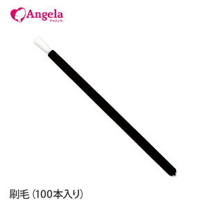 ܂GNXe сi100{jHOLISTIC AMETHOD [u O[  ܂уGNXe [։ AWFbV D10