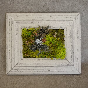 v[g vU[uht[ KX ͂Ȃ hV̓  JX J Vz 蕨 a LO  e   o j Ê  ʉ @l Mtg   v|[