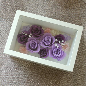 v[g vU[uht[ KX ͂Ȃ hV̓  JX J Vz 蕨 a LO  e   o j Ê  ʉ @l Mtg   v|[