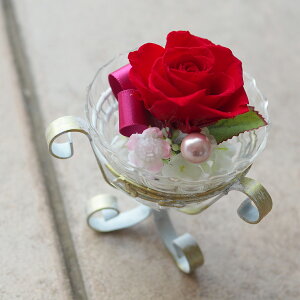 vU[uht[ vU  uU[ht[ ̓ KX v[g ͂Ȃ  Mtg JX JƏj J@j ސEj Vzj 蕨 j a LO җj   