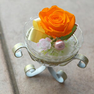 vU[uht[ vU  uU[ht[ ̓ KX v[g ͂Ȃ  Mtg JX JƏj J@j ސEj Vzj 蕨 j a LO җj   