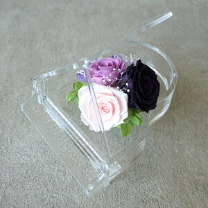 vU[uht[ sAm  uU[h hV̓ sAm v[g ͂Ȃ  搶 k RT[g  q  a  RN[ j o Ohs