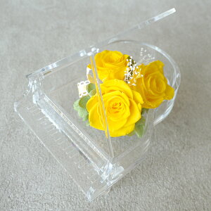 vU[uht[  ̓ hV̓ sAm v[g ͂Ȃ  搶 k RT[g  q   a  RN[ o OhsAm \ җ 