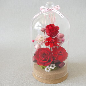 vU[uht[  vU ̓ uU[ht[ v[g KX RN vU ͂Ȃ Mtg JXj @l J J@ Vz 蕨  LO җ e  