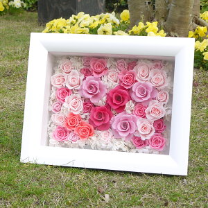 vU[uht[  vU ̓ hV̓ t[  v[g ͂Ȃ  Mtg JX J J@j ސE Vz 蕨  a LO җ     