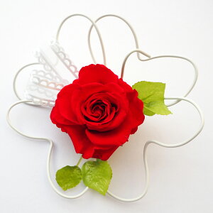 vU[uht[  vU uU[ht[ ̓ zCgf[ Mtg a o[Xf[Mtg  Ԃ  vU v[g v[g 蕨   v