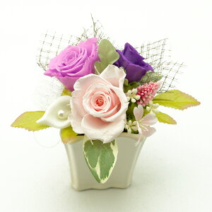 vU[uht[  uU[ht[ ̓ 킢 v[g ͂Ȃ  Mtg JX J J@ ސE Vz 蕨  a LO җj     