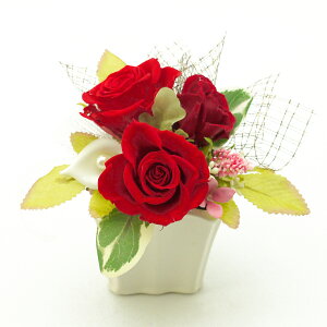 vU[uht[  uU[ht[ ̓ 킢 v[g ͂Ȃ  Mtg JX J J@ ސE Vz 蕨  a LO җj     