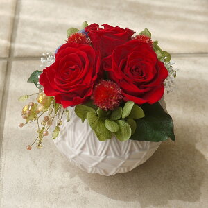 vU[uht[  ̓ hV̓ a KX h[ ͂Ȃ  Mtg JXj J J@ Vzj 蕨 j a LO җj e   o j Ê 