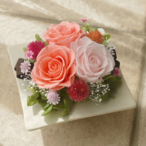 vU[uht[  ̓ hV̓ a KX h[ ͂Ȃ  Mtg JXj J J@ Vzj 蕨 j a LO җj e   o j Ê 