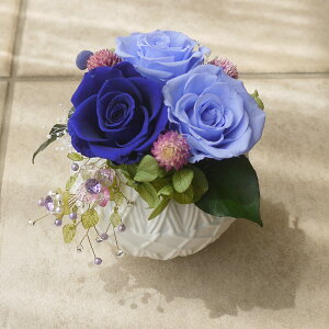 vU[uht[  vU ̓ hV̓  v[g KX h[ ͂Ȃ  Mtg JXj J J@ Vzj 蕨 j a LO җj e  