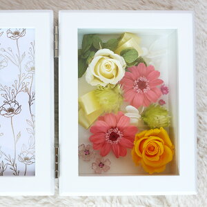 vU[uht[  vU ̓ ʐ^ ͂Ȃ  tHgt[ c a sv Vz 蕨 ybg vU LOMtg җj v[g  Ê  