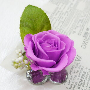 vU[uht[  uU[h ̓ y Mtg a  Ԃ  vU ObY v[g oYj  v[g 蕨 v`Mtg ii ACe