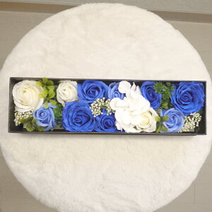  ̓ hV̓ \[vt[ v[g y Mtg 蕨 Δ  a LO v[g  v|[Y ͂Ȃ   t tOX \[v 