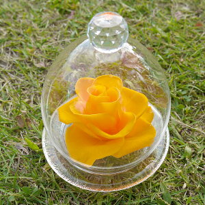 vU[uht[  ̓ a v[g CeA Əj  zj j    Fl  Vv KXh[ Ԃ Mtg uU[uht[ 