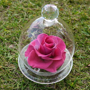 vU[uht[  ̓ a v[g CeA Əj  zj j    Fl  Vv KXh[ Ԃ Mtg uU[uht[ 