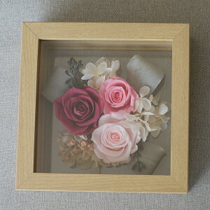 vU[uht[  vU ̓ hV̓ Mtg t[ ؐ v[g j ͂Ȃ  JX J ސE Vzj 蕨 j a LO      Ê